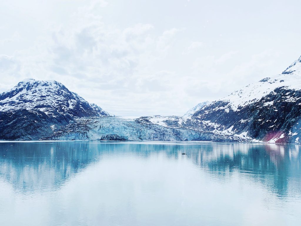 glacier bay lamplugh glacier