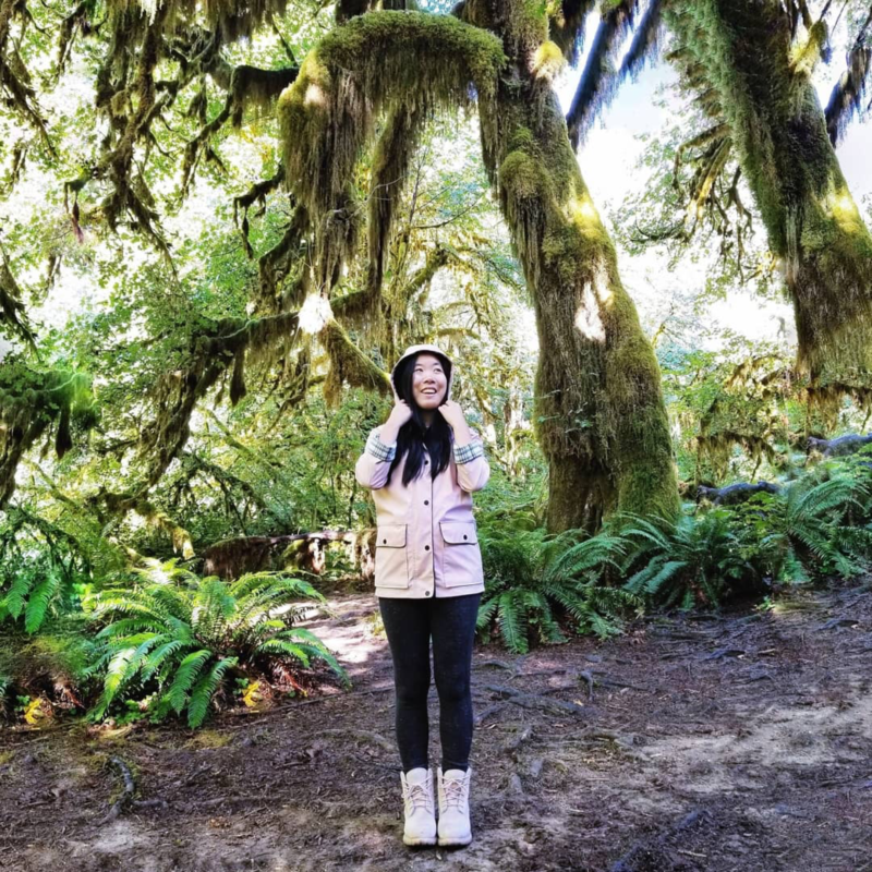 hoh rainforest olympic national park