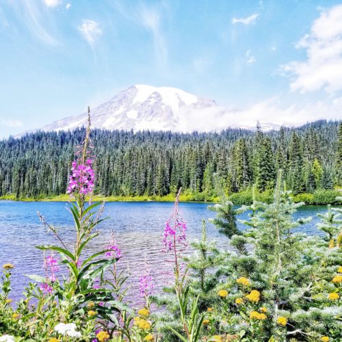 Reflection Lakes Hike at Mount Rainier National Park