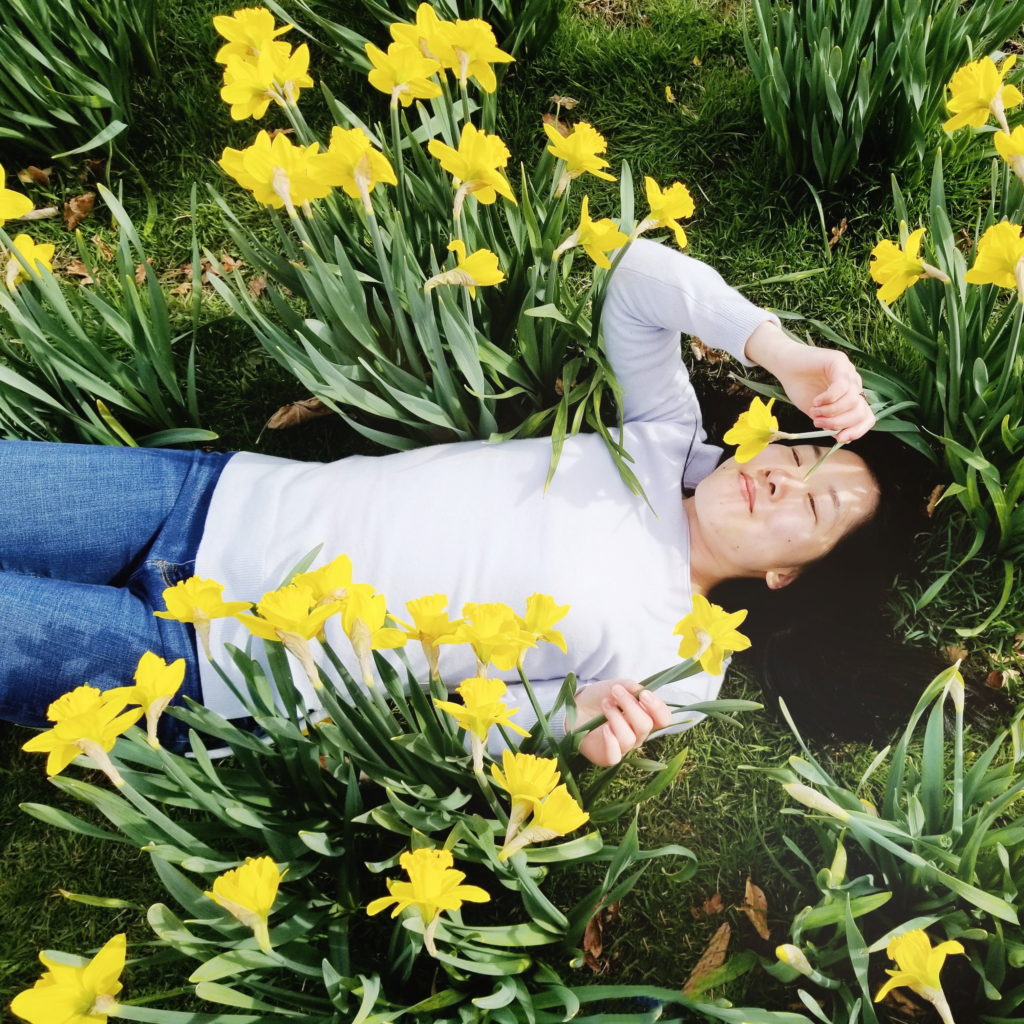 Newport daffodils