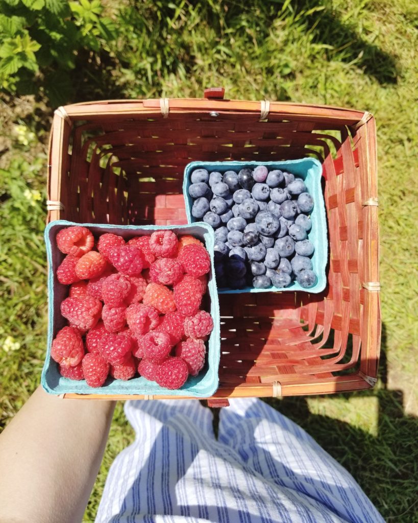 Patty's Berries North Fork Long Island