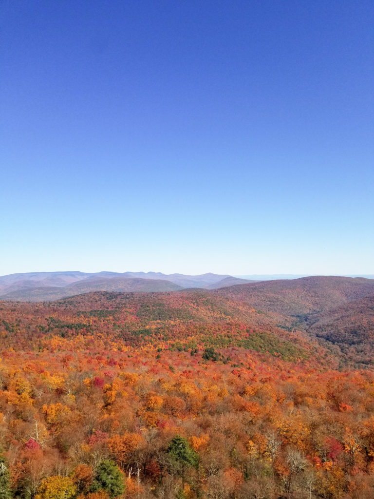 A view of the fall foliage in the Catskills from Giant Ledge in Phoenicia, New York