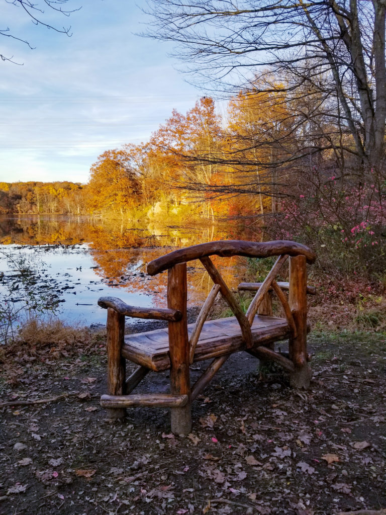 A wooden bench alongside a peaceful lake