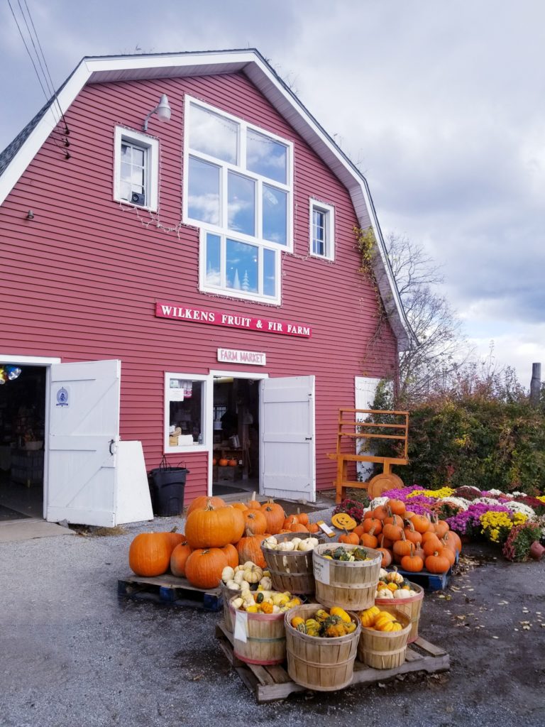 A red barn with pumpkins, gourds, squash, and flowers