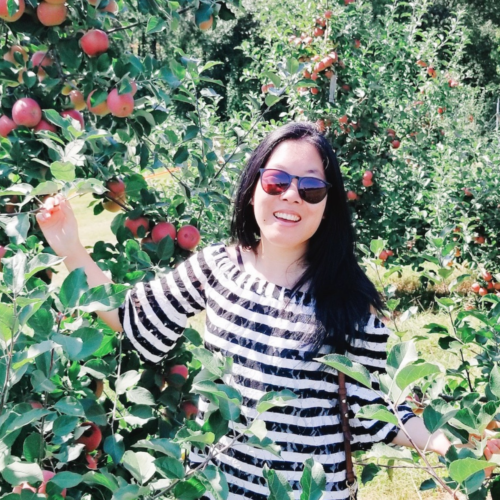 The Best Places For Apple Picking Near NYC