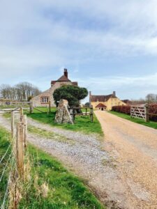 Seven Sisters Cliffs: The Ultimate Day Trip From London